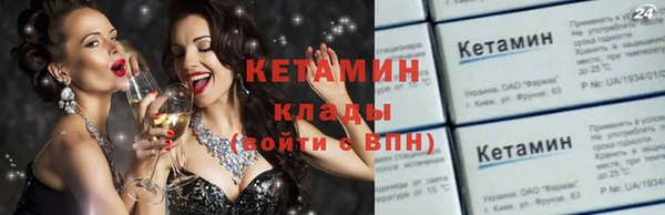 стаф Алзамай
