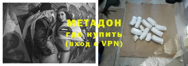 стаф Алзамай