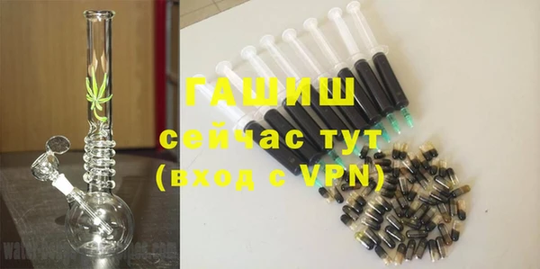 стаф Алзамай