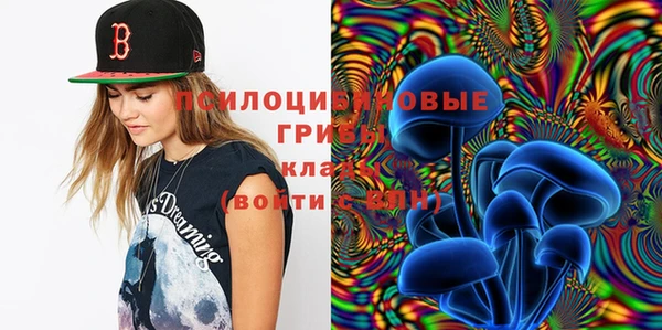 хмурый Алексин