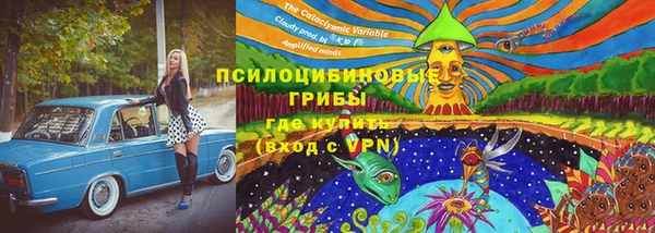 хмурый Алексин