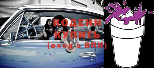 хмурый Алексин