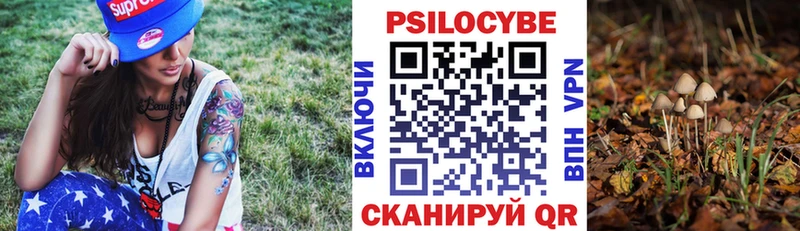 Псилоцибиновые грибы мицелий  сколько стоит  Богучар 